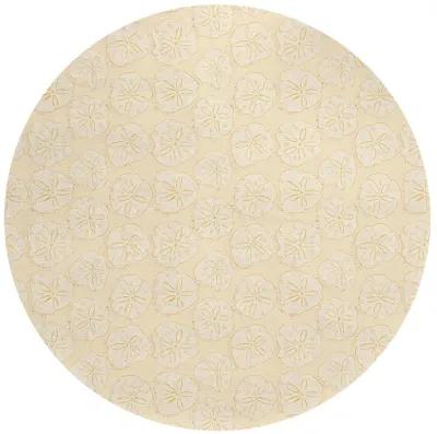 Seabreeze SZ10 Ivory 8' Rug