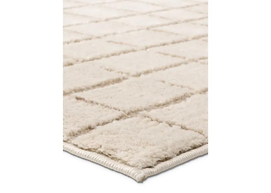 Anton Jaida 2'5"x10' Rnr Rug