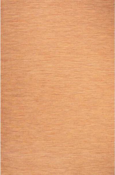 Ethan Modern Flatweave Solid Area Rug