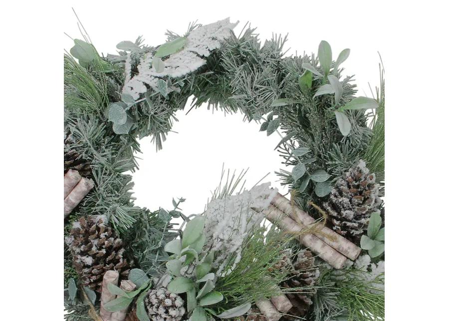 24� Artificial Frosted Pine  Birch Scrolls and Pine Cone Christmas Wreath - Unlit