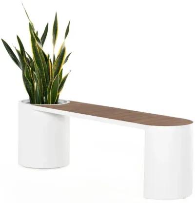 Kylen Outdoor Bench with Planter