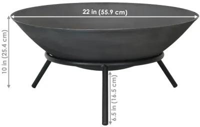 Sunnydaze 22 in Raised Cast Iron Fire Pit Bowl with Stand