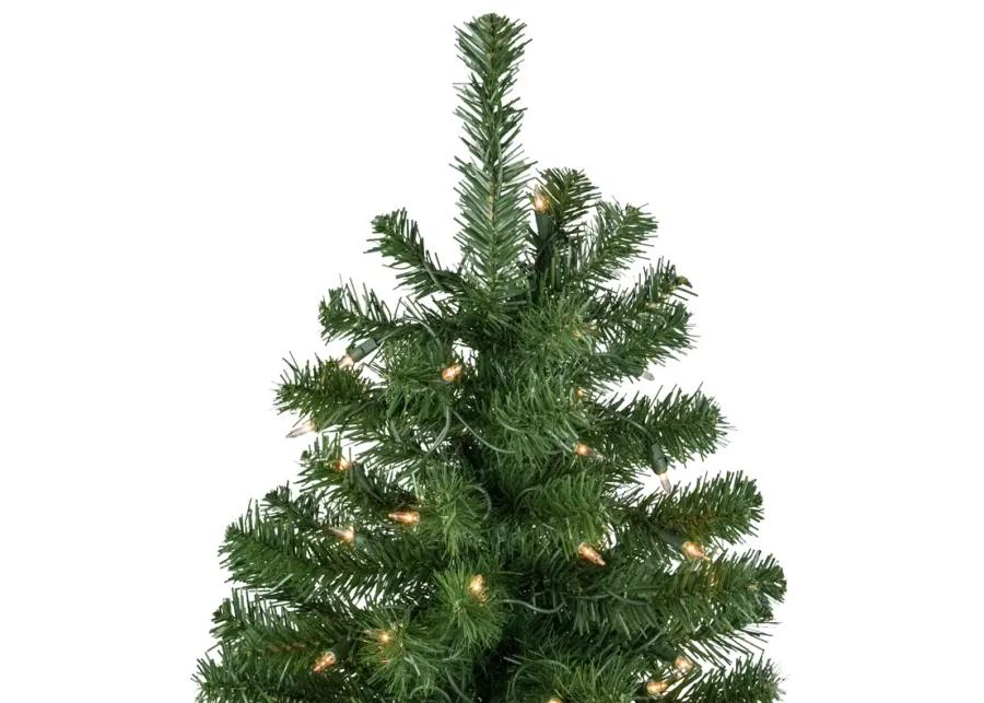 7' Pre-Lit Norfolk Spruce Artificial Christmas Tree  Clear Lights