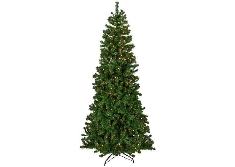 7' Pre-Lit Norfolk Spruce Artificial Christmas Tree  Clear Lights