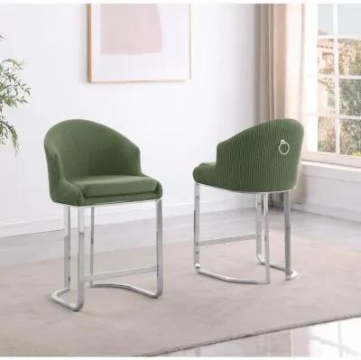 Best Quality Furniture Green With Silver Barstool. Set Of Two