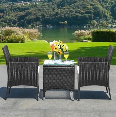 2 Pieces Patio Wicker Chairs with Cozy Seat Cushions