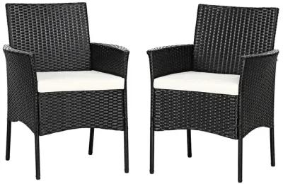 2 Pieces Patio Wicker Chairs with Cozy Seat Cushions