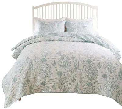 Amy 2pc XL Twin Coverlet and Pillow Sham Set, Coastal Design Seafoam Blue