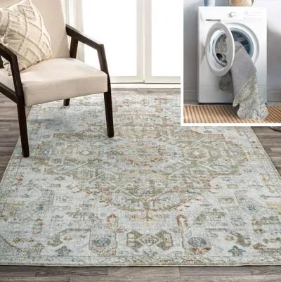 Shaemus Bohemian Medallion Low-Pile Machine-Washable Runner Rug