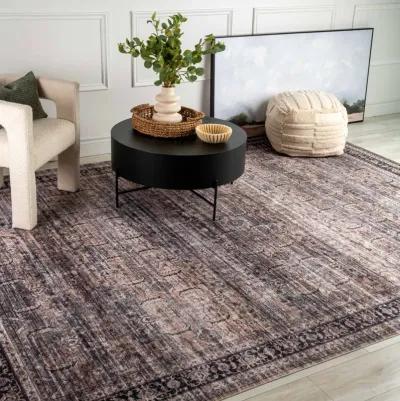 Emir Water-Repellent Transitional Persian Indoor Area Rug