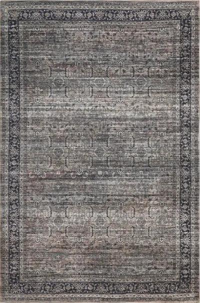 Emir Water-Repellent Transitional Persian Indoor Area Rug