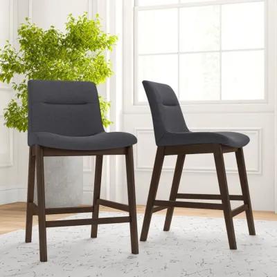 Danilo Dark Gray Counter Stool Set of 2