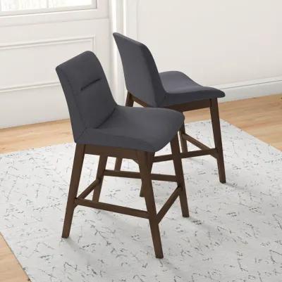 Danilo Dark Gray Counter Stool Set of 2