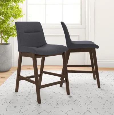 Danilo Dark Gray Counter Stool Set of 2