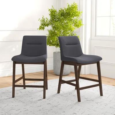 Danilo Dark Gray Counter Stool Set of 2