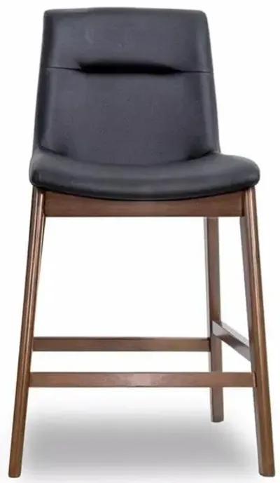 Danilo Black Leather Counter Stool Set of 2