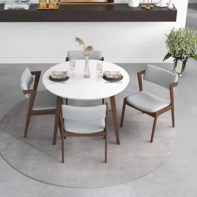 Palmer Dining set with 4 Ricco Dining Chairs(Light Grey)