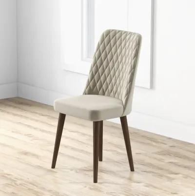 Evette Mid Century Modern Beige Dining Chair Set of 2