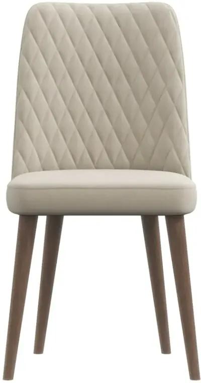 Evette Mid Century Modern Beige Dining Chair Set of 2