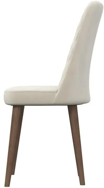 Evette Mid Century Modern Beige Dining Chair Set of 2