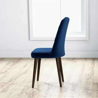 Evette Mid Century Modern Navy Blue Dining Chair Set of 2