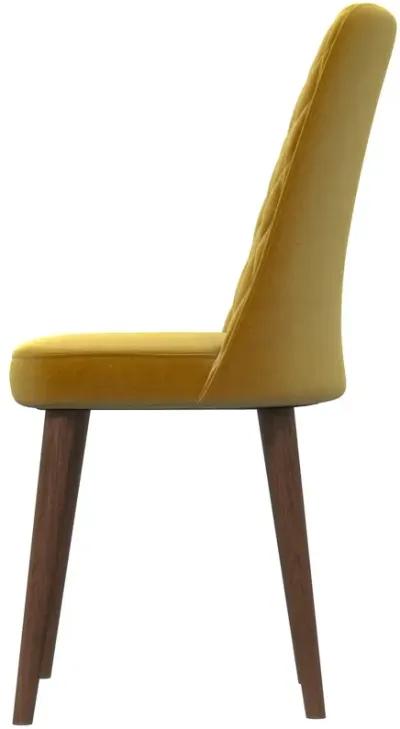 Evette Mid Century Modern Gold Dining Chair Set of 2