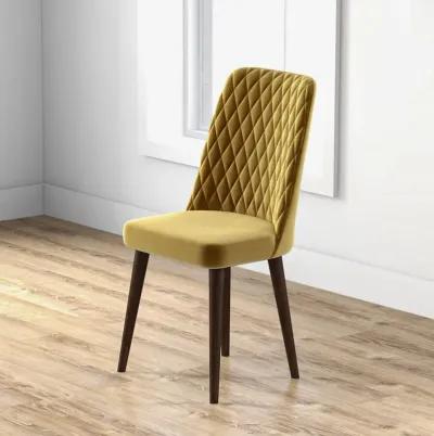 Evette Mid Century Modern Gold Dining Chair Set of 2