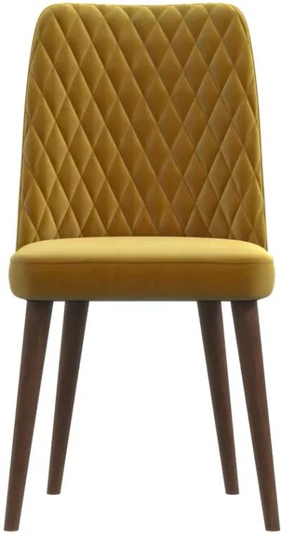 Evette Mid Century Modern Gold Dining Chair Set of 2