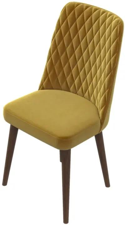 Evette Mid Century Modern Gold Dining Chair Set of 2