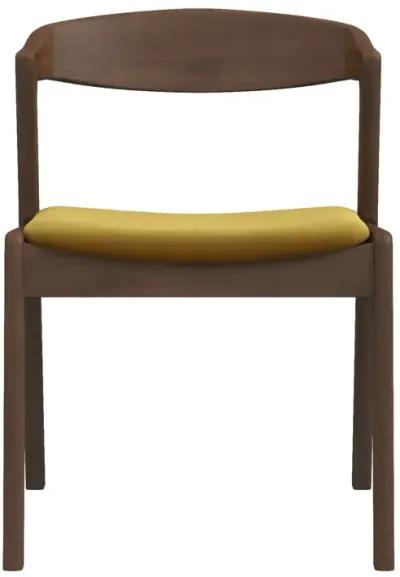 Reggie Dark Yellow Velvet Dining Chair Set of 2