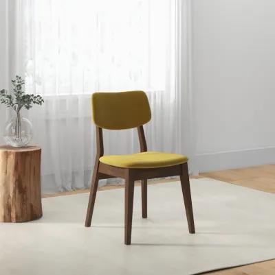 Abbott Dark Yellow Velvet Dining Chair  Set of 2