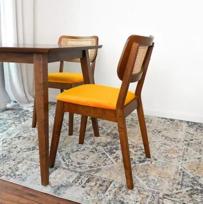 Kane Orange Velvet Dining Chair Set of 2