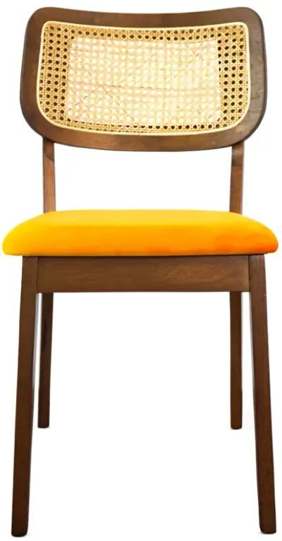 Kane Orange Velvet Dining Chair Set of 2