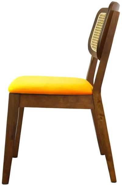 Kane Orange Velvet Dining Chair Set of 2