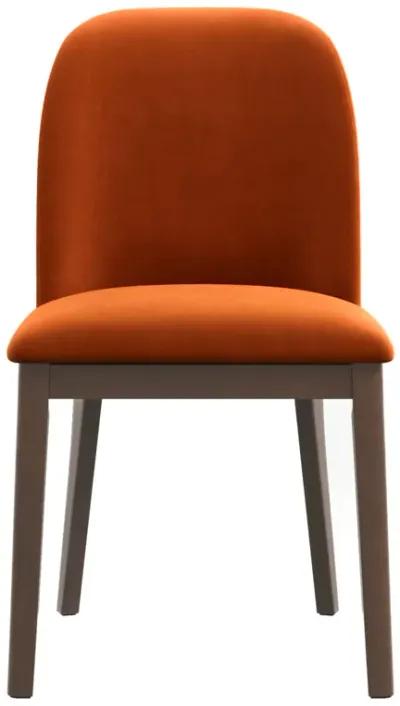 Belfast Burnt Orange Velvet Dining Chair Set of 2