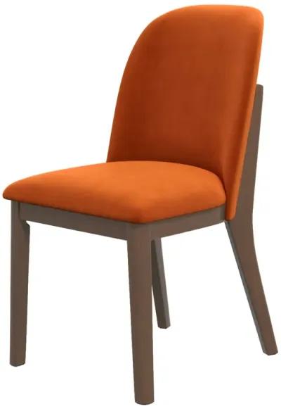 Belfast Burnt Orange Velvet Dining Chair Set of 2