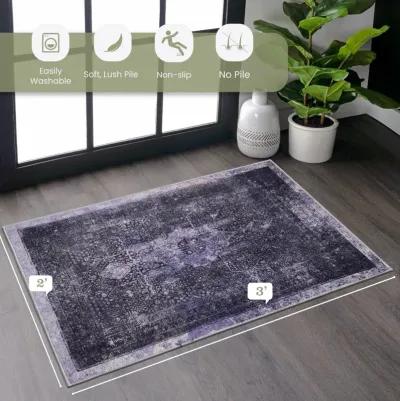 Bovi 2' x 3' Anthracite/ Machine Washable Low-Pile, Non-Slip, Non-Shedding, Foldable, Kid & Pet Friendly Area Rug