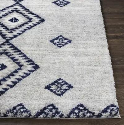 Aliyah shag 7'10" x 10' Rug