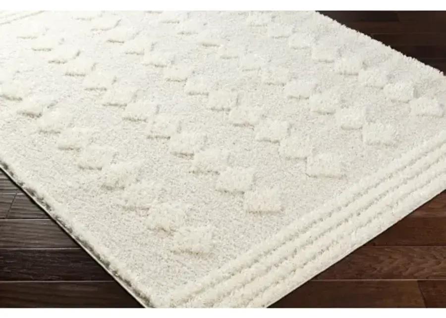 Rodos RDO-2319 7'10" x 10' Machine Woven Rug