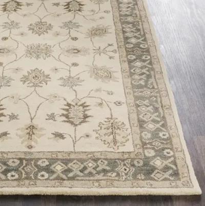 Middleton AWHR-2050 2'3" x 12' Rug