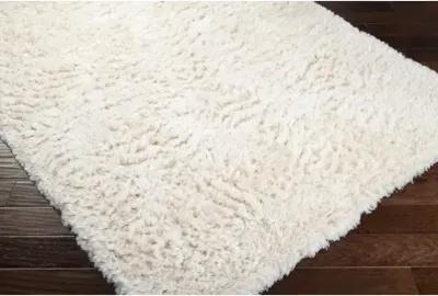 Ashton 10' x 14' Rug