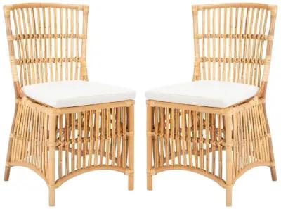 ERIKA RATTAN ACCENT CHAIR W/ CUSHION - Set of 2