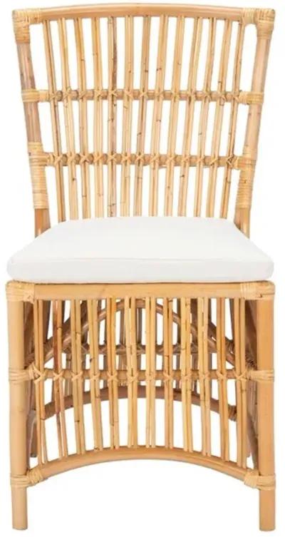 ERIKA RATTAN ACCENT CHAIR W/ CUSHION - Set of 2