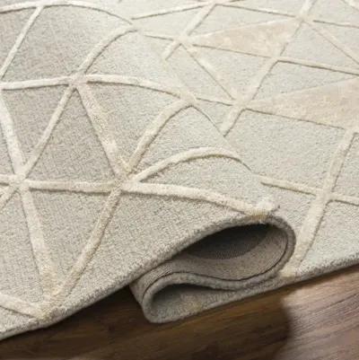 Addison ADD-2302 9' x 12' Hand Made Rug