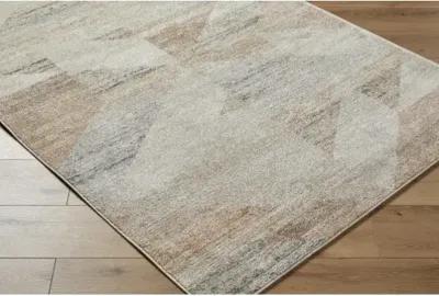 Alpharetta APH-2317 7'10" x 10' Machine Woven Rug