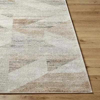 Alpharetta APH-2317 7'10" x 10' Machine Woven Rug