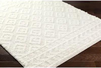 Rodos RDO-2336 7'10" x 10' Machine Woven Rug