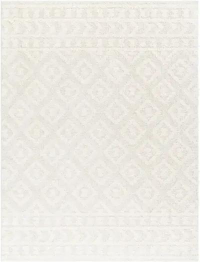 Rodos RDO-2336 7'10" x 10' Machine Woven Rug