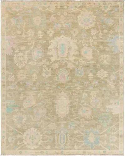 Antalya AAT-2309 9' x 12' Handmade Rug