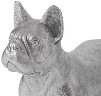 french bulldog, silver